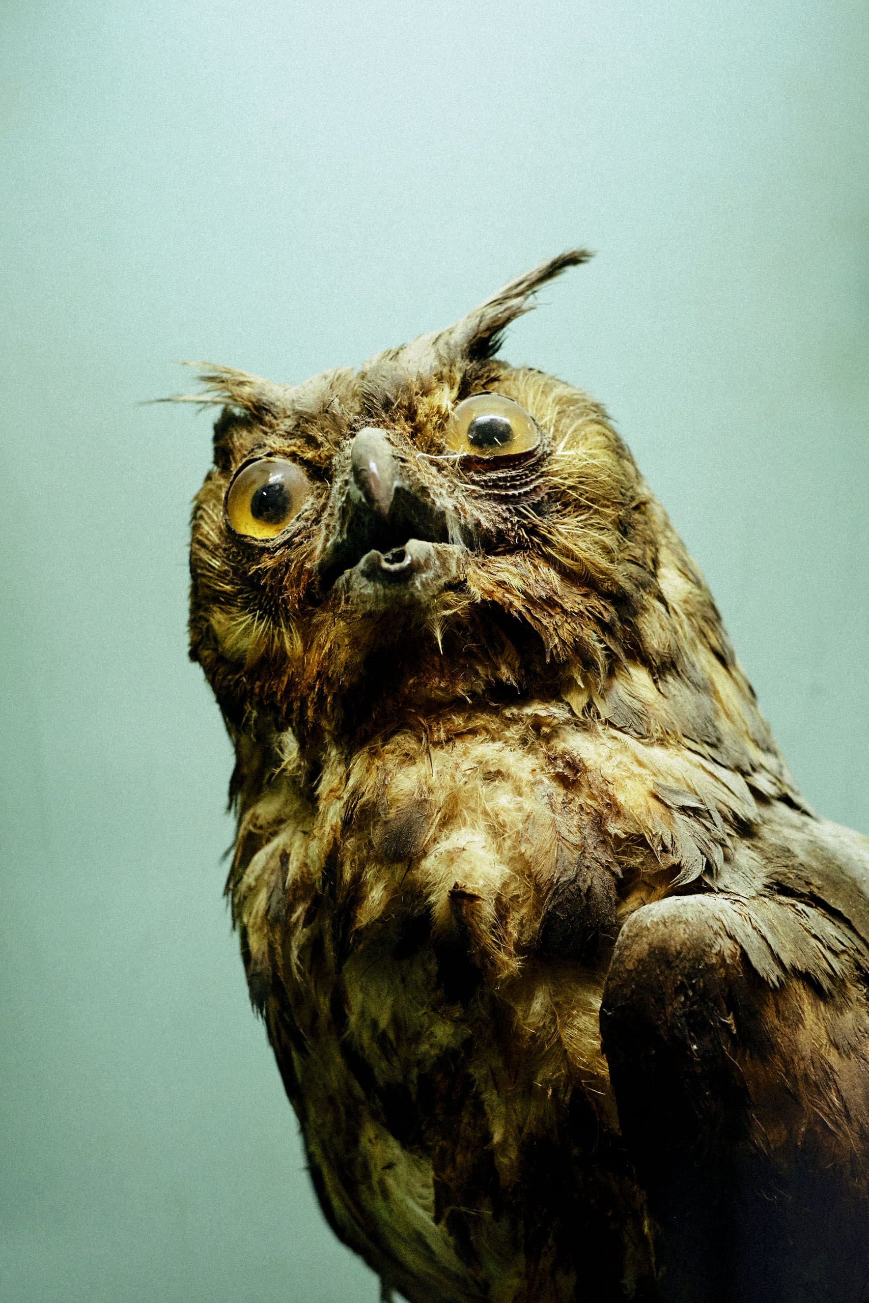 Chennai Government Art